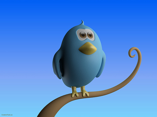 Image of Twitter bird logo